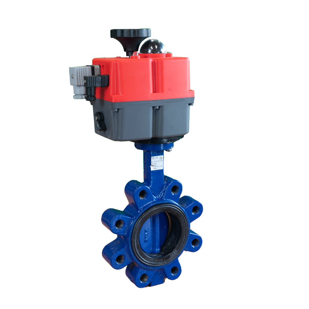 Electric Butterfly Valve DN80 24-240V AC/DC Modulating Fail-Safe Lug GGG40 EPDM J+J