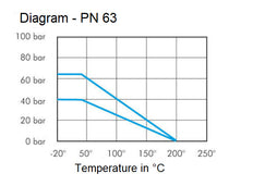 Buiten x Binnendraad R/Rp 2 inch PN 63 2-Weg RVS Kogelkraan