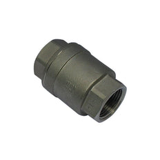 655 - G1'' Terugslagklep RVS PTFE F/F 64bar