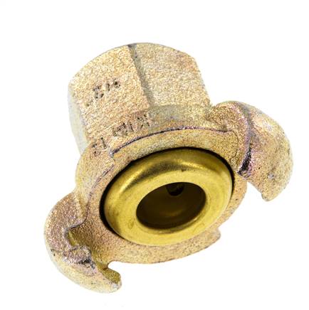 Gietijzer DN 17 DIN 3489 compressor klauwkoppeling Rp 1/2 inch Binnendraad