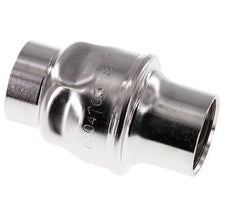 G1'' RVS 304 Terugslagklep FKM (Lichte Veer) 0.03-16bar - CLIS3E