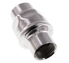G1'' RVS 304 Terugslagklep FKM (Lichte Veer) 0.03-16bar - CLIS3E