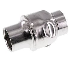 G1'' RVS 304 Terugslagklep FKM (Lichte Veer) 0.03-16bar - CLIS3E