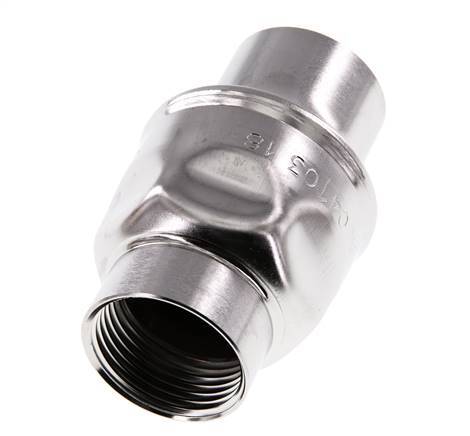 G1'' RVS 304 Terugslagklep FKM (Lichte Veer) 0.03-16bar - CLIS3E
