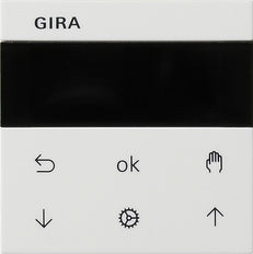 Gira Systeem 3000 Intelligent Controle Element - 536603