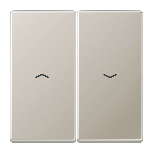 Jung Aluminum/Gold Steel/Chrome Control Element/Central Plate Switchgear - ES2995P