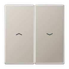 Jung Aluminum/Gold Steel/Chrome Control Element/Central Plate Switchgear - ES2995P