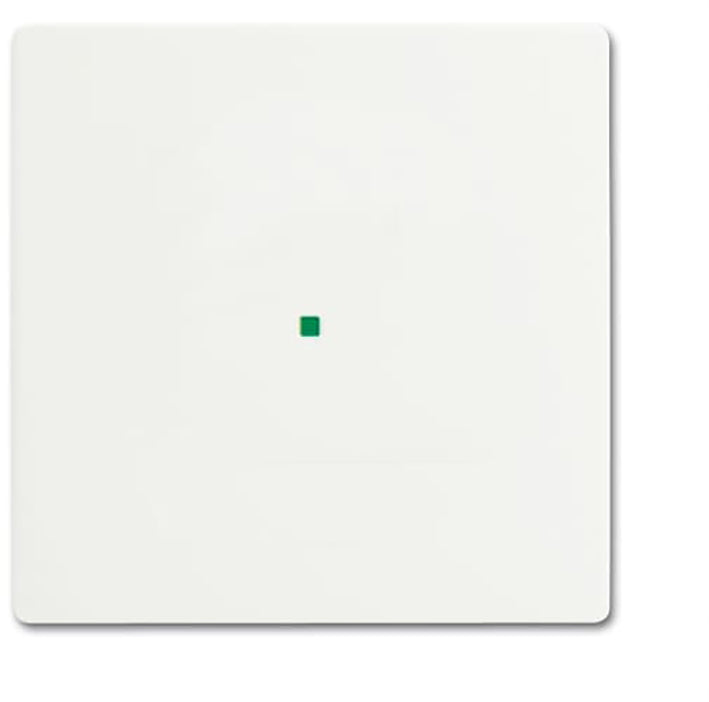 ABB Busch-Jaeger Busch-FreeAtHome Bedieningselement/Centrale Plaat Schakelmateriaal - 2CKA006220A0481