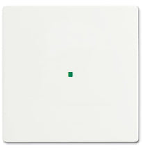 ABB Busch-Jaeger Busch-FreeAtHome Bedieningselement/Centrale Plaat Schakelmateriaal - 2CKA006220A0481
