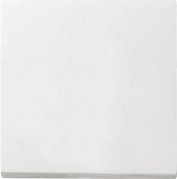 Gira Systeem 55 Besturingselement/Centrale plaat Schakelmateriaal - 029627 [2 stuks]