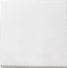 Gira Systeem 55 Besturingselement/Centrale plaat Schakelmateriaal - 029627 [2 stuks]