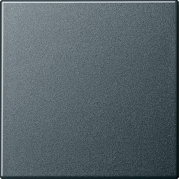 Gira Systeem 55 Besturingselement/Centrale plaat Schakelmateriaal - 029628 [2 stuks]