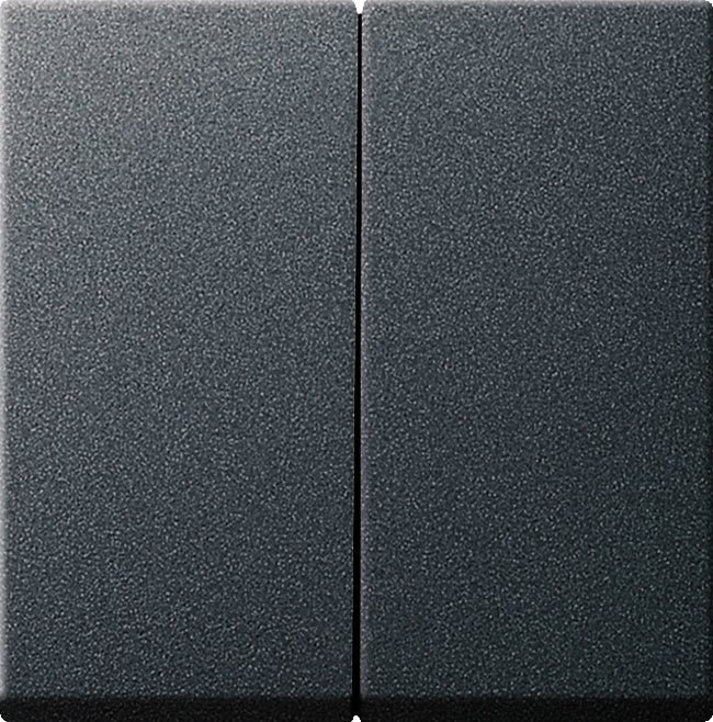 Gira Systeem 55 Besturingselement/Centrale plaat Schakelmateriaal - 029528