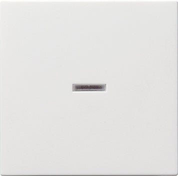 Gira Systeem 55 Besturingselement/Centrale plaat Schakelmateriaal - 029027 [2 stuks]