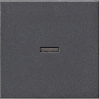 Gira Systeem 55 Besturingselement/Centrale plaat Schakelmateriaal - 029028