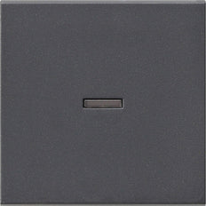 Gira Systeem 55 Besturingselement/Centrale plaat Schakelmateriaal - 029028