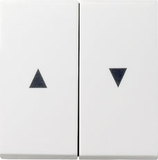 Gira Systeem 55 Besturingselement/Centrale plaat Schakelmateriaal - 029427