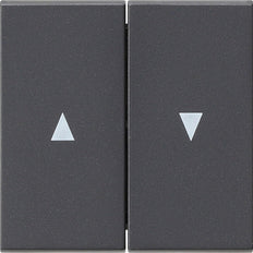 Gira Systeem 55 Besturingselement/Centrale plaat Schakelmateriaal - 029428