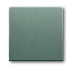 ABB Busch-Jaeger Solo Bedieningselement/Centrale Plaat Schakelmateriaal - 2CKA001751A3012