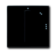 ABB Busch-Jaeger toekomstig Bedieningselement/Centrale Plaat Schakelmateriaal - 2CKA001710A3649