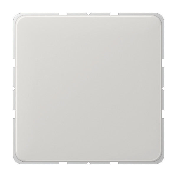 Jung CD500 Schakelelement/Centrale Plaat - CD594-0LG