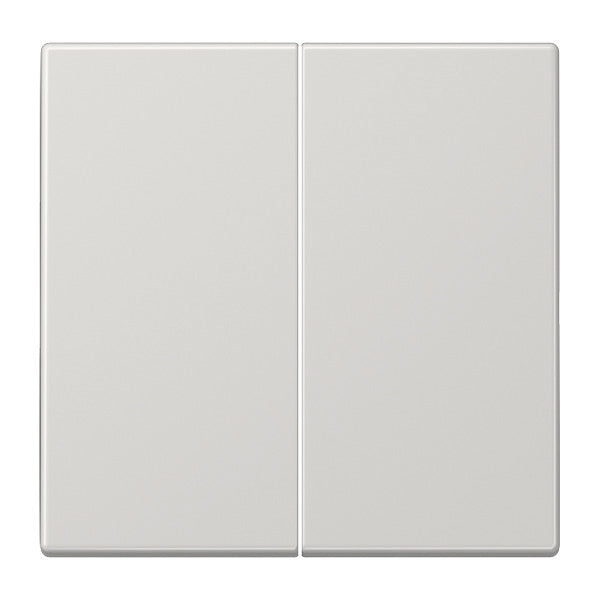 Jung LS990 Schakelelement/Centrale Plaat - LS995LG