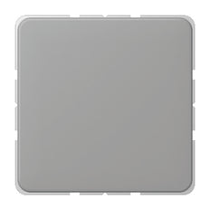 Jung CD500 Schakelelement/Centrale Plaat - CD594-OGR