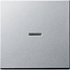 Gira Systeem 55 Besturingselement/Centrale plaat Schakelmateriaal - 029026