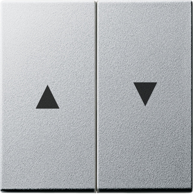 Gira Systeem 55 Besturingselement/Centrale plaat Schakelmateriaal - 029426