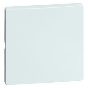 Honeywell Peha DIALOG Bedieningselement/Centrale Plaat Schakelmateriaal - 00309811