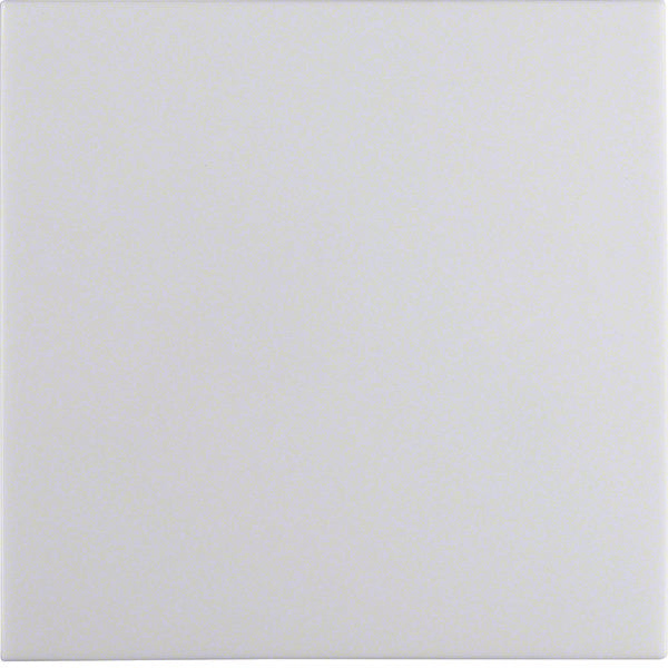 Hager Berker S.1/B.3/B.7 Schakelelement/Centrale plaat - 16208989 [2 stuks]