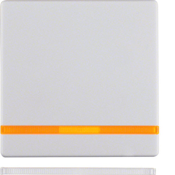 Hager Berker Q.1/Q.3 Schakelelement/Centrale plaat - 16216089 [2 stuks]