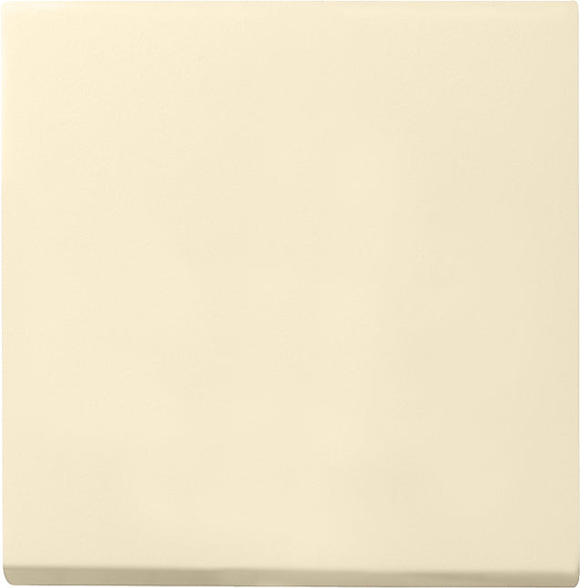 Gira Systeem 55 Besturingselement/Centrale plaat Schakelmateriaal - 029601 [2 stuks]