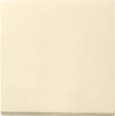 Gira Systeem 55 Besturingselement/Centrale plaat Schakelmateriaal - 029601 [2 stuks]