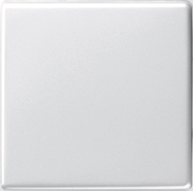 Gira Systeem 55 Besturingselement/Centrale plaat Schakelmateriaal - 029603 [2 stuks]