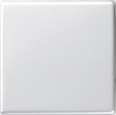 Gira Systeem 55 Besturingselement/Centrale plaat Schakelmateriaal - 029603 [2 stuks]
