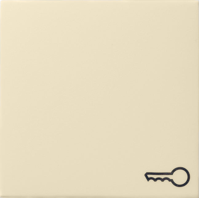 Gira Systeem 55 Besturingselement/Centrale plaat Schakelkast - 028701 [2 stuks]