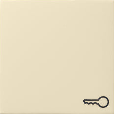 Gira Systeem 55 Besturingselement/Centrale plaat Schakelkast - 028701 [2 stuks]