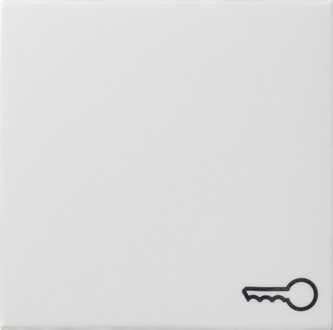 Gira Systeem 55 Besturingselement/Centrale plaat Schakelmateriaal - 028703 [2 stuks]
