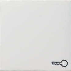 Gira Systeem 55 Besturingselement/Centrale plaat Schakelmateriaal - 028703 [2 stuks]