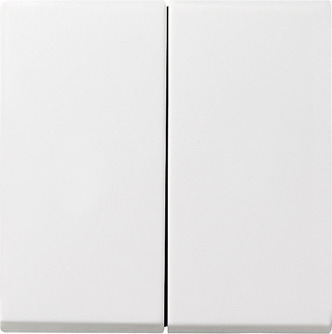 Gira Systeem 55 Besturingselement/Centrale plaat Schakelmateriaal - 029503