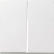 Gira Systeem 55 Besturingselement/Centrale plaat Schakelmateriaal - 029503
