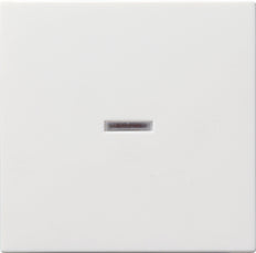 Gira Systeem 55 Besturingselement/Centrale plaat Schakelmateriaal - 029003 [2 stuks]