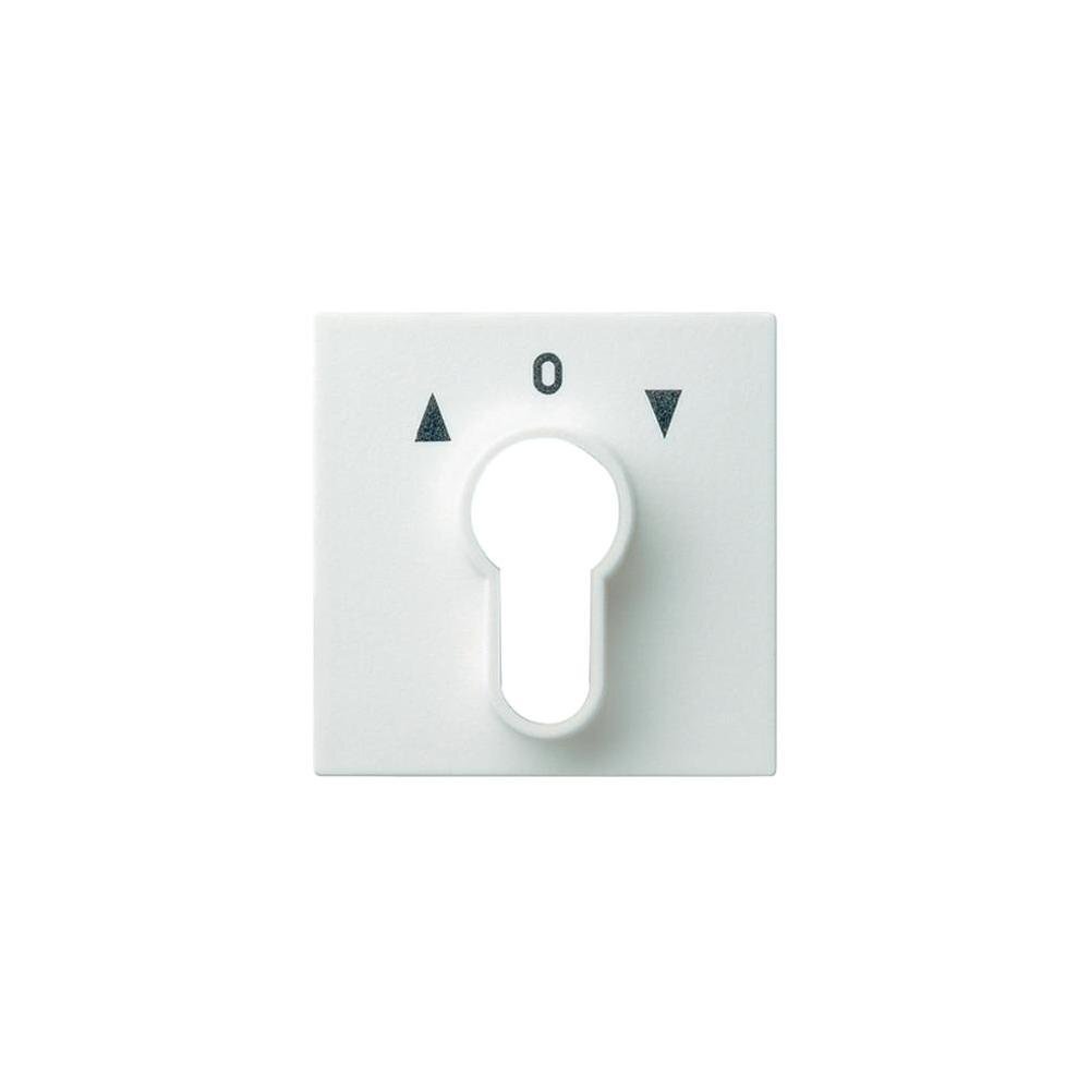 Gira System 55 Control Element/Central Plate Switchgear - 066403