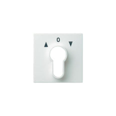Gira System 55 Control Element/Central Plate Switchgear - 066403