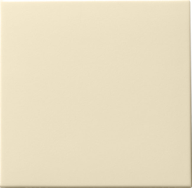 Gira Systeem 55 Besturingselement/Centrale plaat Schakelmateriaal - 091601 [2 stuks]