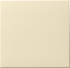 Gira Systeem 55 Besturingselement/Centrale plaat Schakelmateriaal - 091601 [2 stuks]