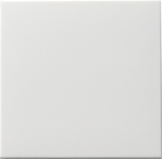 Gira Systeem 55 Besturingselement/Centrale plaat Schakelmateriaal - 091603 [2 stuks]