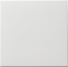 Gira Systeem 55 Besturingselement/Centrale plaat Schakelmateriaal - 091603 [2 stuks]