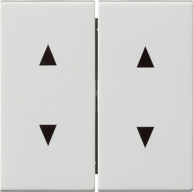 Gira Systeem 55 Besturingselement/Centrale plaat Schakelmateriaal - 115003